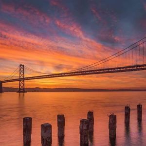 Meet your Posher, Saqib